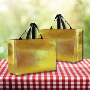 Gift Carry Bags